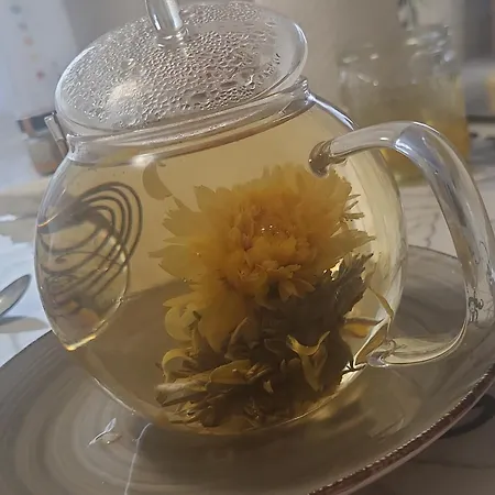 Alex & Nicol Apartment Ganserndorf