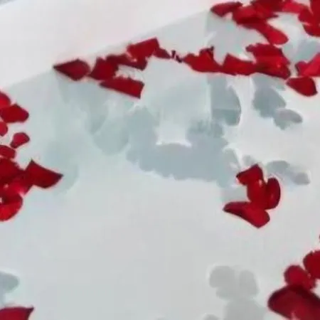 Alex & Nicol ゲンゼルンドルフ