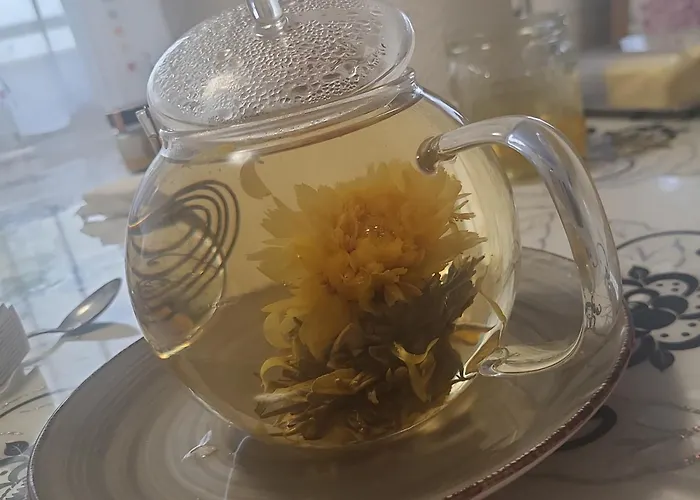 Alex & Nicol Apartment Ganserndorf