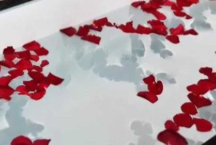 Alex & Nicol Ganserndorf